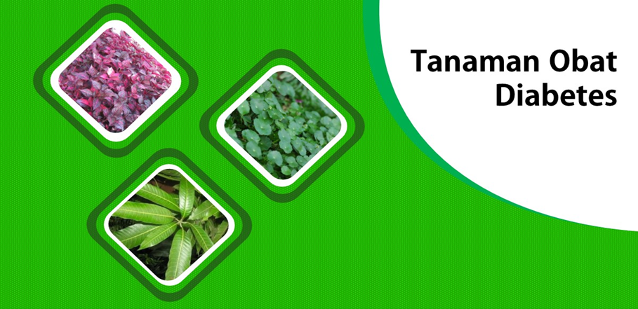 Ragam Tanaman Tropis Mengobati Diabetes